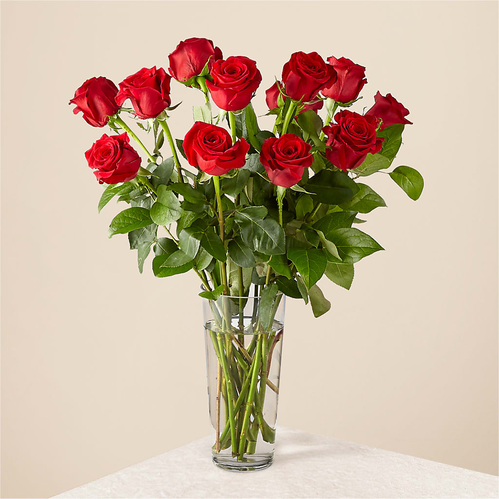 Long Stem Red Rose Bouquet – ANTOSZYK'S GARDEN CENTER & FLORIST SHOP, Butler PA