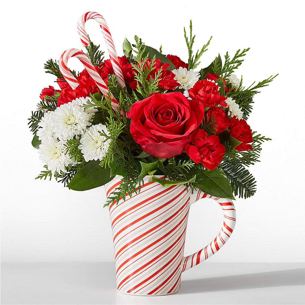 Peppermint Swirl Mug – ANTOSZYK'S GARDEN CENTER & FLORIST SHOP, Butler PA
