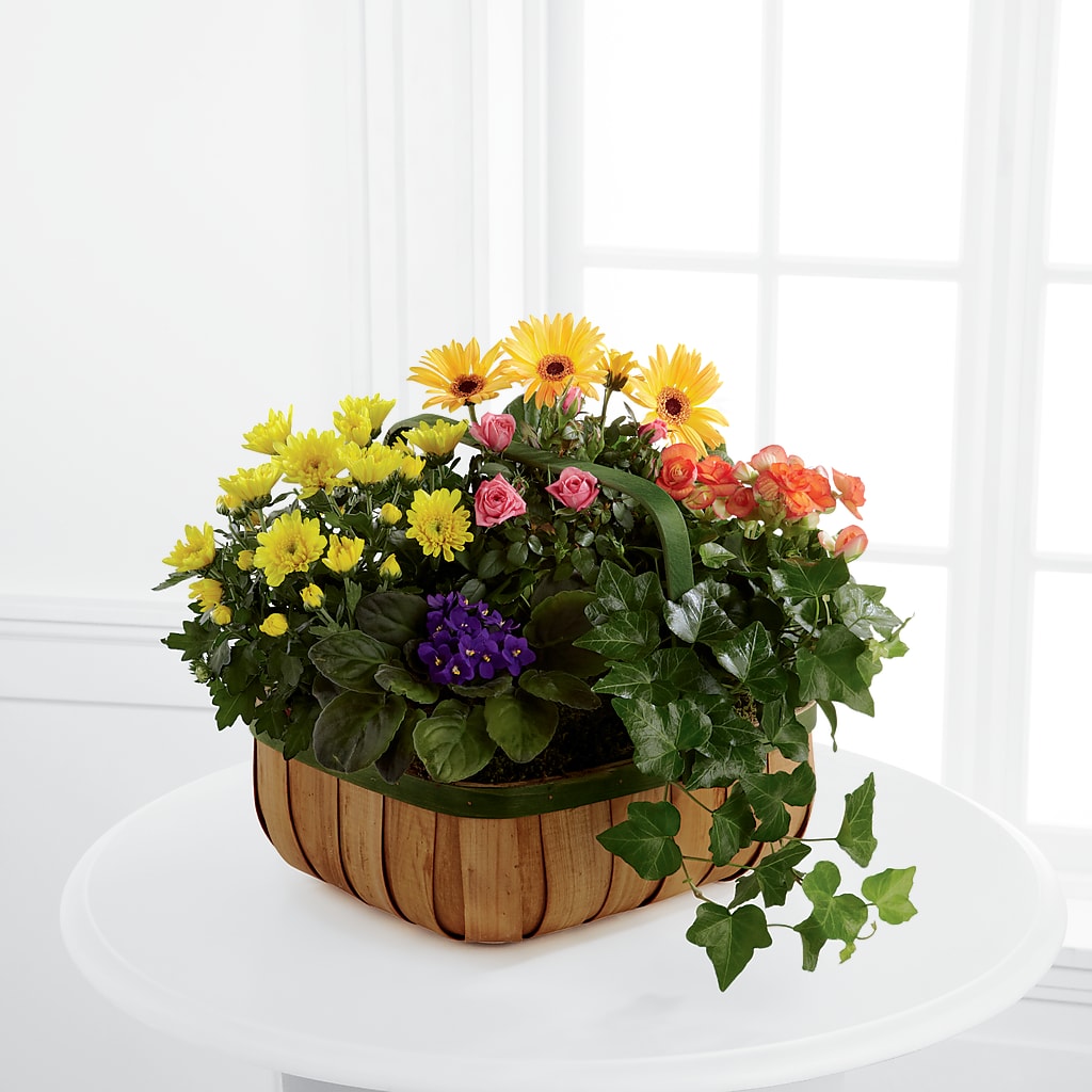 Gentle Blossoms Basket – ANTOSZYK'S GARDEN CENTER & FLORIST SHOP, Butler PA