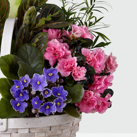 Peaceful Garden Planter – ANTOSZYK'S GARDEN CENTER & FLORIST SHOP, Butler PA