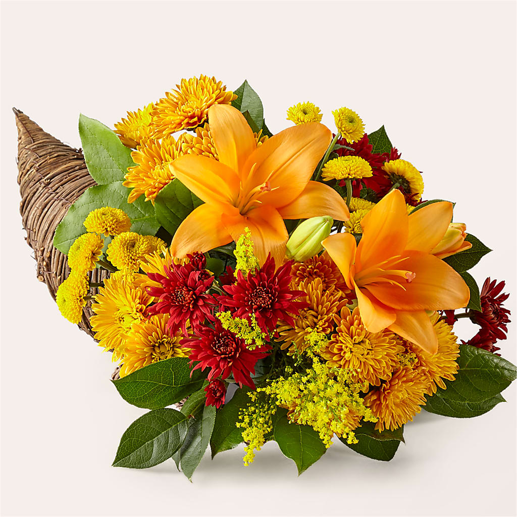 Feast of Color Cornucopia – ANTOSZYK'S GARDEN CENTER & FLORIST SHOP, Butler PA