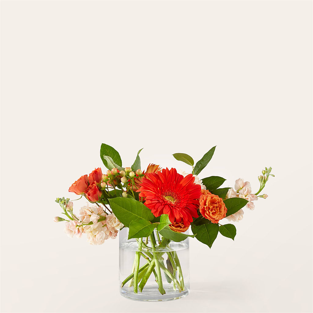 Paloma Please Bouquet – ANTOSZYK'S GARDEN CENTER & FLORIST SHOP, Butler PA
