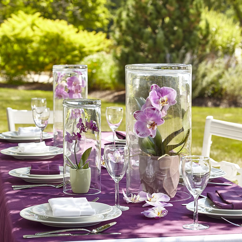 Dramatic Garden Centerpiece – ANTOSZYK'S GARDEN CENTER & FLORIST SHOP, Butler PA