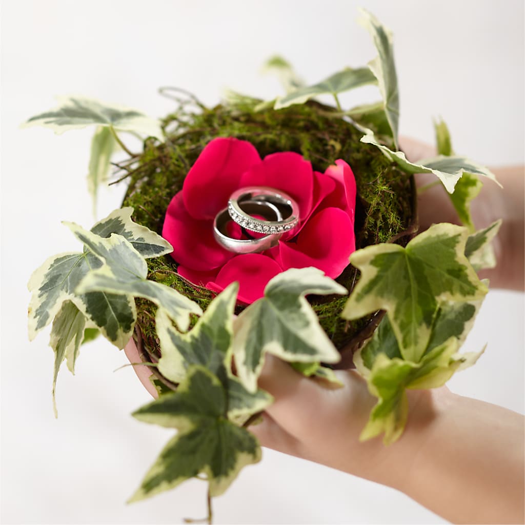 Lila Rose Ring Nest – ANTOSZYK'S GARDEN CENTER & FLORIST SHOP, Butler PA