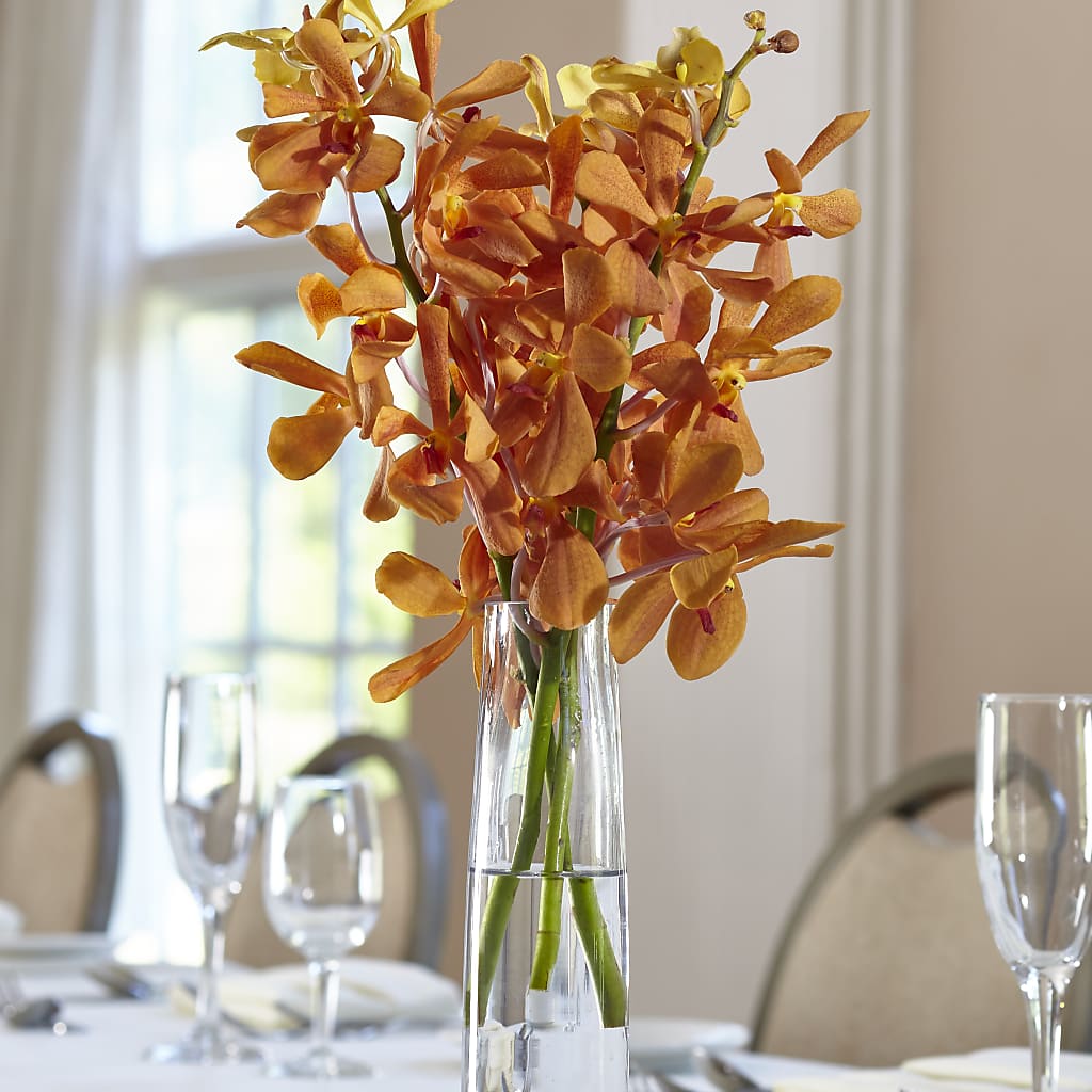 Orange Mokara Bud Vase – ANTOSZYK'S GARDEN CENTER & FLORIST SHOP, Butler PA
