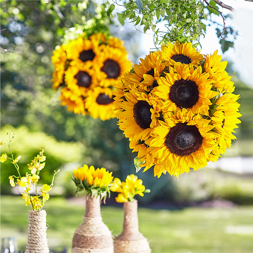 Sublime Garden Hanging Arrangement – ANTOSZYK'S GARDEN CENTER & FLORIST SHOP, Butler PA