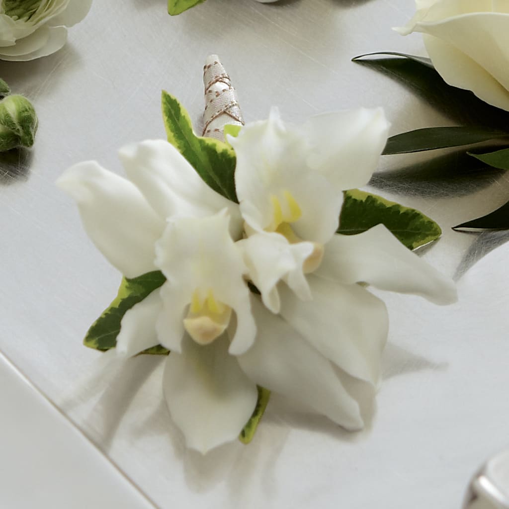 White Mini Cymbidium Boutonniere – ANTOSZYK'S GARDEN CENTER & FLORIST SHOP, Butler PA