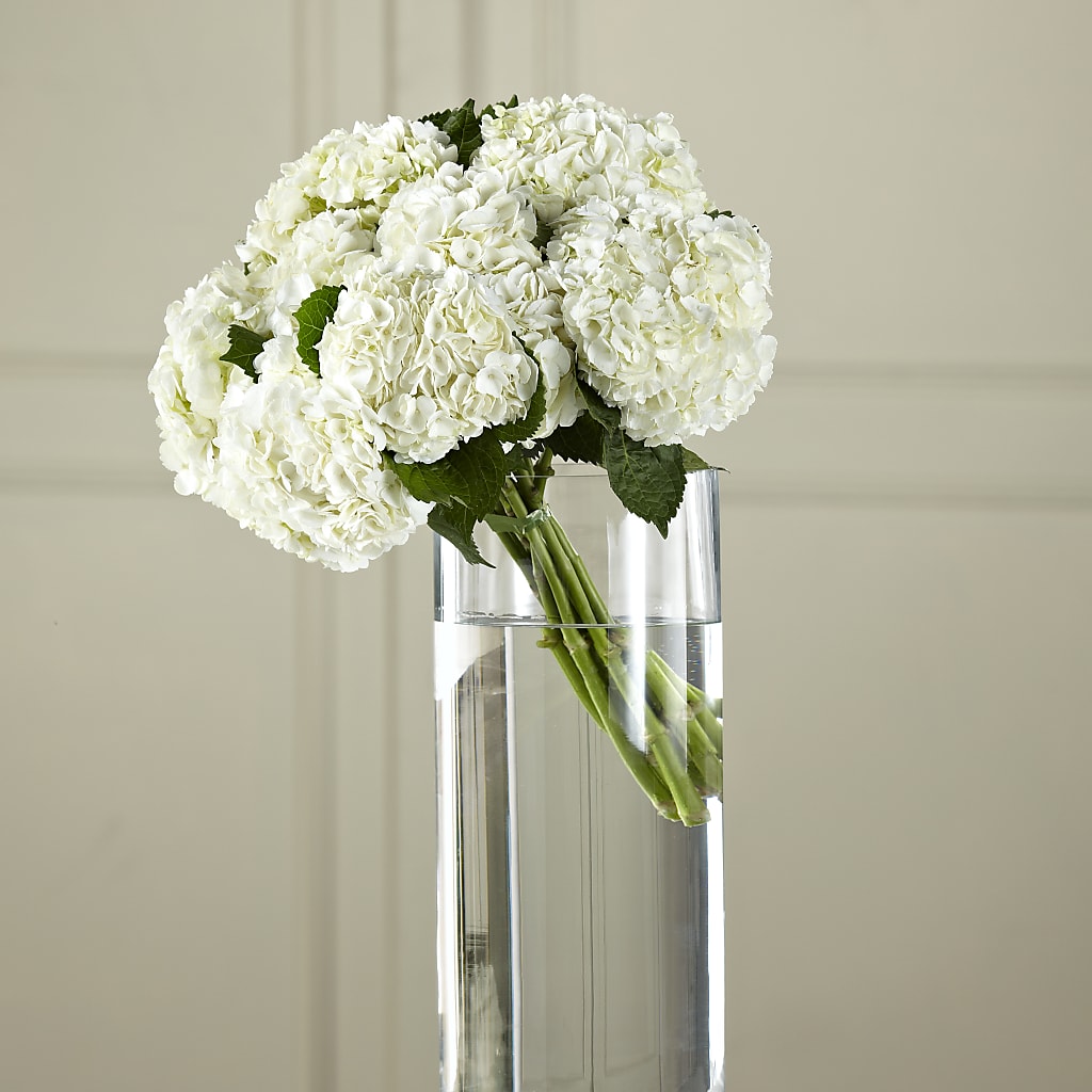 White Hydrangea Hand-Tied Bouquet – ANTOSZYK'S GARDEN CENTER & FLORIST SHOP, Butler PA