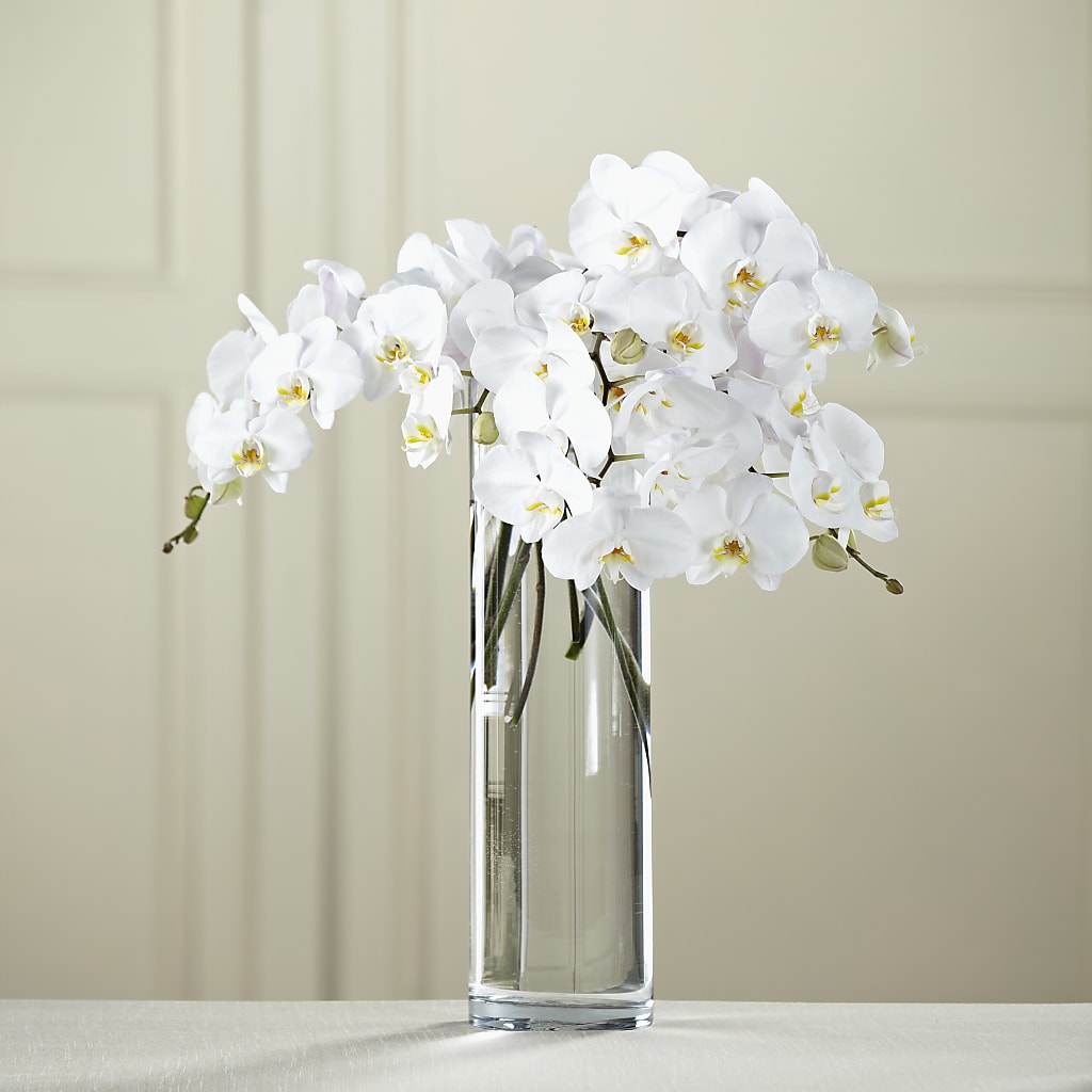 White Phalaenopsis Bouquet – ANTOSZYK'S GARDEN CENTER & FLORIST SHOP, Butler PA