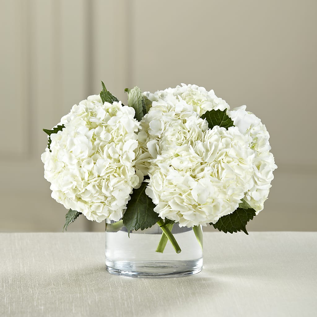 White Hydrangea Bouquet – ANTOSZYK'S GARDEN CENTER & FLORIST SHOP, Butler PA