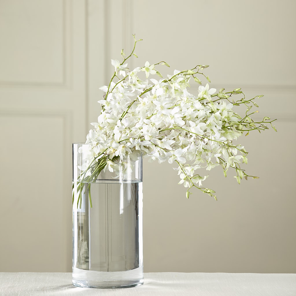 White Dendrobium Bouquet – ANTOSZYK'S GARDEN CENTER & FLORIST SHOP, Butler PA
