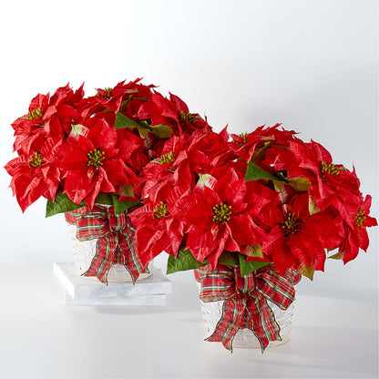 Happiest Holidays Poinsettia Bundle – ANTOSZYK'S GARDEN CENTER & FLORIST SHOP, Butler PA