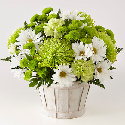 Lucky Charm Basket (Standard) – ANTOSZYK'S GARDEN CENTER & FLORIST SHOP, Butler PA