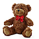 Adorable Plush Bear – ANTOSZYK'S GARDEN CENTER & FLORIST SHOP, Butler PA