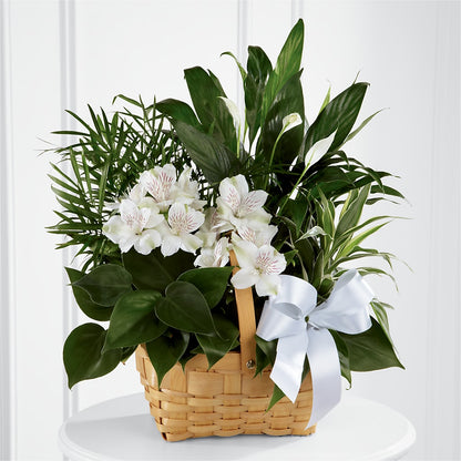 Peace & Serenity Dishgarden – ANTOSZYK'S GARDEN CENTER & FLORIST SHOP, Butler PA