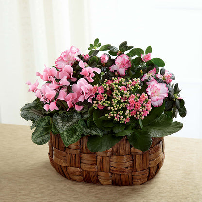 Pink Assortment – ANTOSZYK'S GARDEN CENTER & FLORIST SHOP, Butler PA