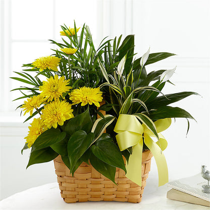 Loving Light Dishgarden – ANTOSZYK'S GARDEN CENTER & FLORIST SHOP, Butler PA