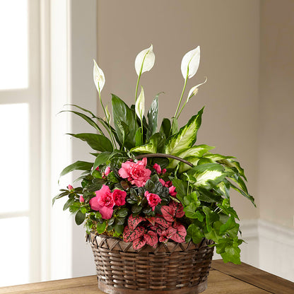 Dream in Pink Dishgarden – ANTOSZYK'S GARDEN CENTER & FLORIST SHOP, Butler PA