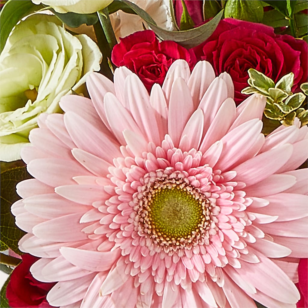Too Cute Bouquet – ANTOSZYK'S GARDEN CENTER & FLORIST SHOP, Butler PA