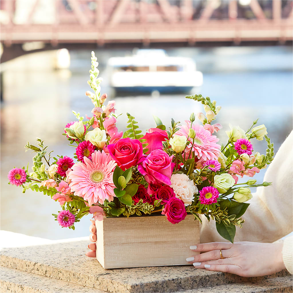 Too Cute Bouquet – ANTOSZYK'S GARDEN CENTER & FLORIST SHOP, Butler PA