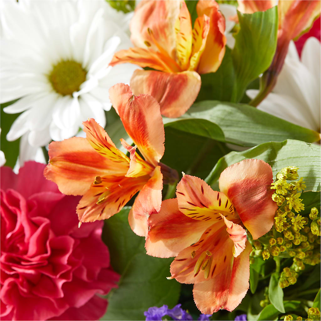 Oopsie Daisy Box Bouquet – ANTOSZYK'S GARDEN CENTER & FLORIST SHOP, Butler PA