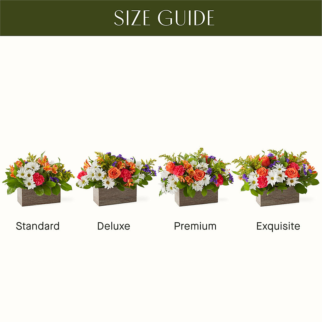 Oopsie Daisy Box Bouquet – ANTOSZYK'S GARDEN CENTER & FLORIST SHOP, Butler PA