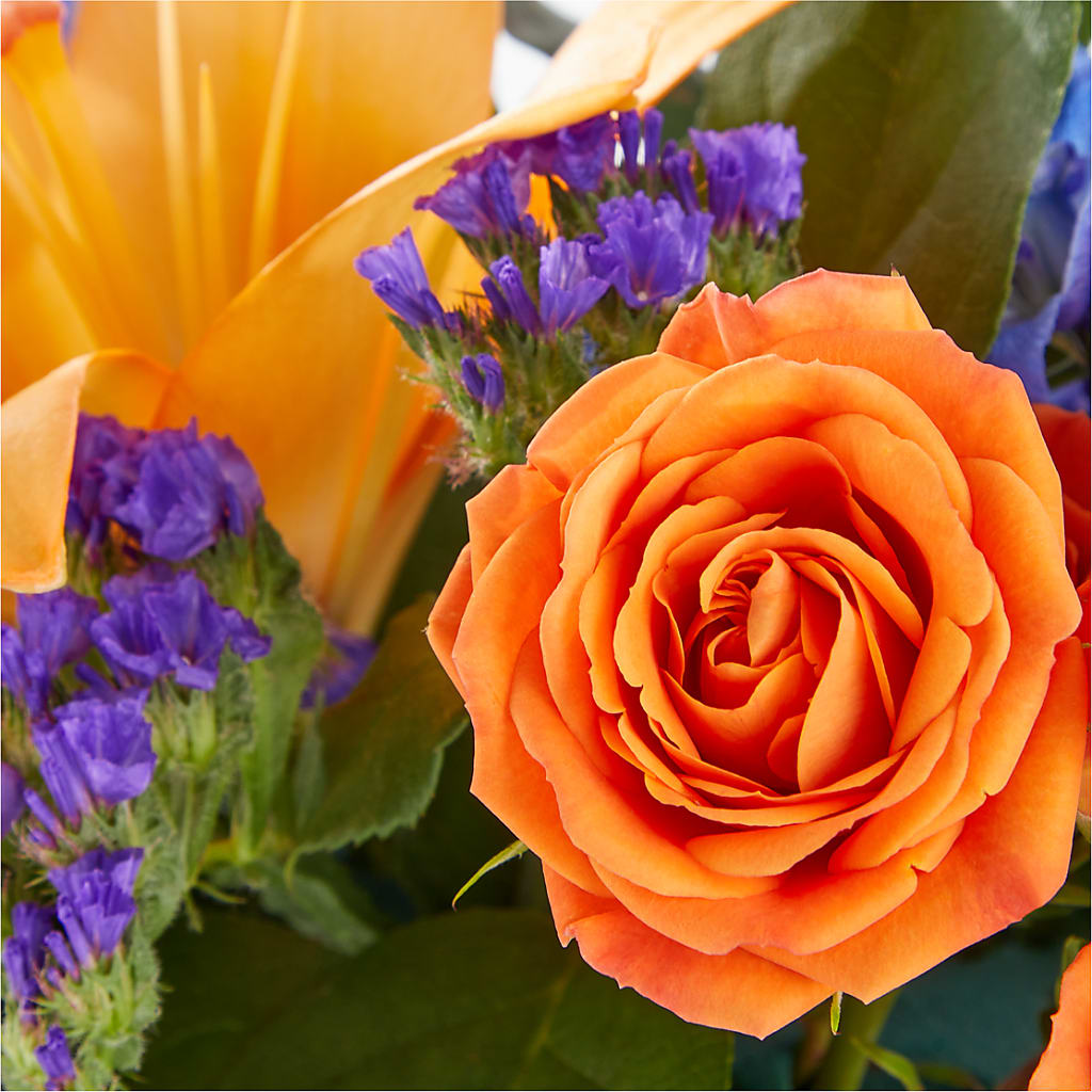 Radiant Citrus Box Bouquet – ANTOSZYK'S GARDEN CENTER & FLORIST SHOP, Butler PA