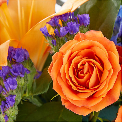 Radiant Citrus Box Bouquet – ANTOSZYK'S GARDEN CENTER & FLORIST SHOP, Butler PA