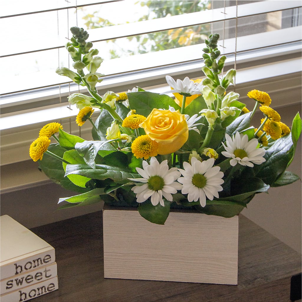 Sun Salutation Box Bouquet – ANTOSZYK'S GARDEN CENTER & FLORIST SHOP, Butler PA