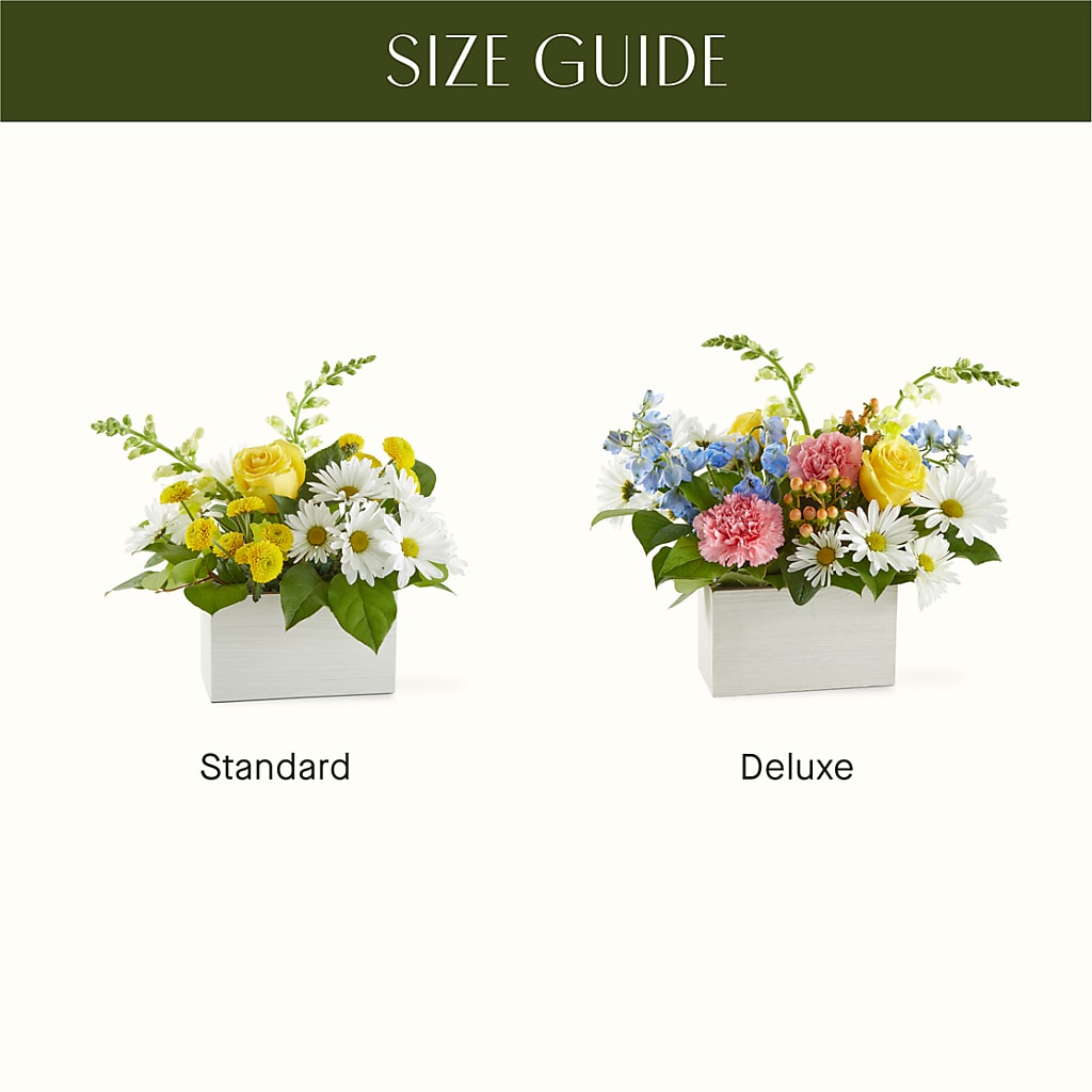 Sun Salutation Box Bouquet – ANTOSZYK'S GARDEN CENTER & FLORIST SHOP, Butler PA
