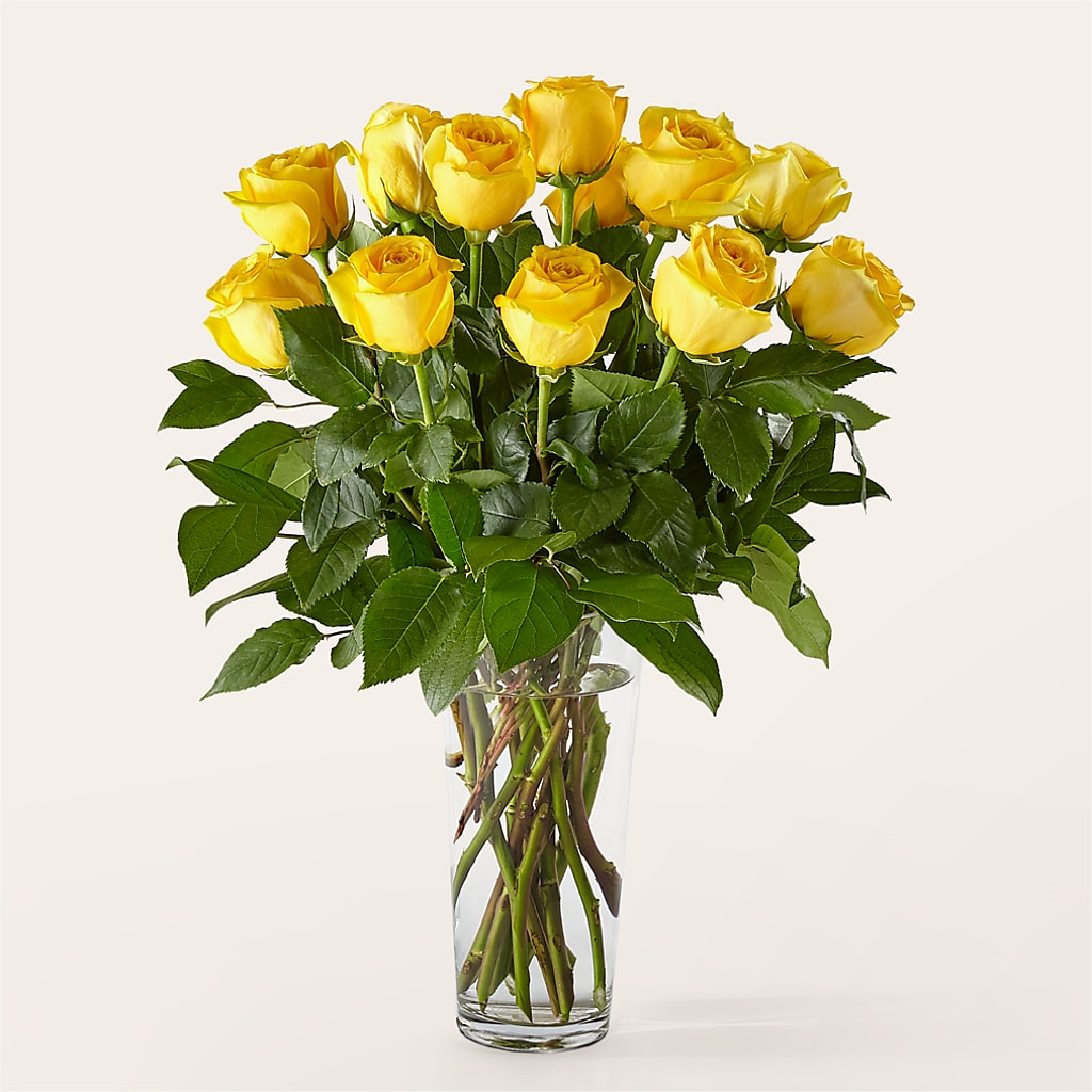 Long Stem Yellow Rose Bouquet – ANTOSZYK'S GARDEN CENTER & FLORIST SHOP, Butler PA