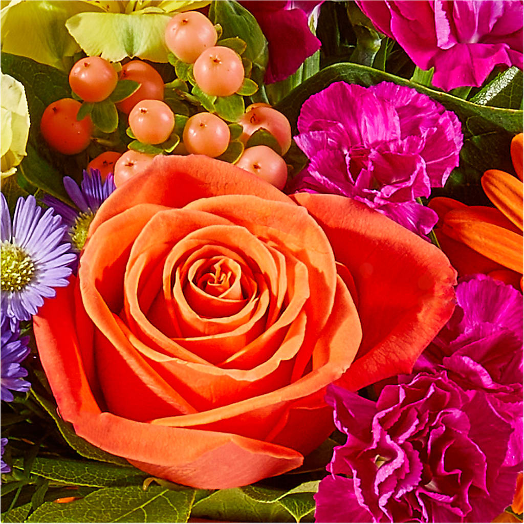 Tricks & Treats Pumpkin – ANTOSZYK'S GARDEN CENTER & FLORIST SHOP, Butler PA