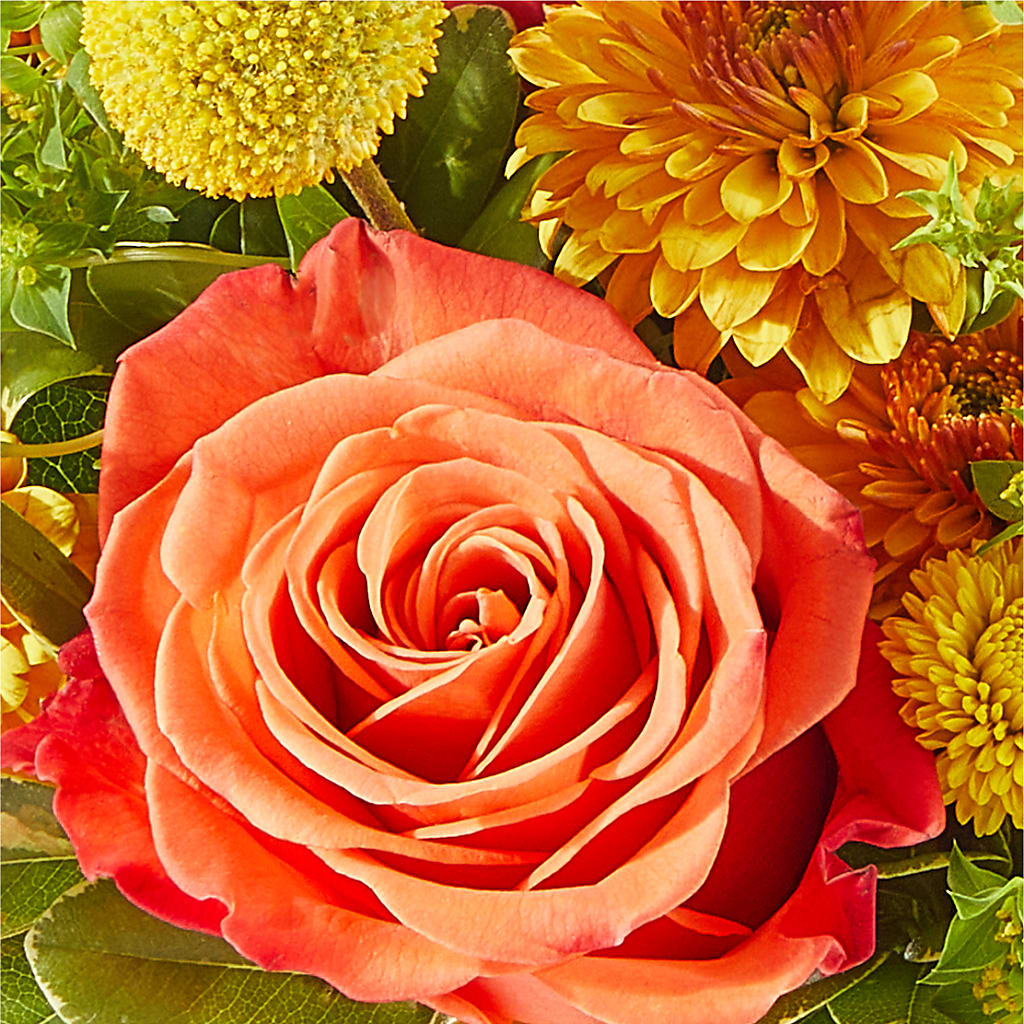 Gourdgeous Pumpkin – ANTOSZYK'S GARDEN CENTER & FLORIST SHOP, Butler PA