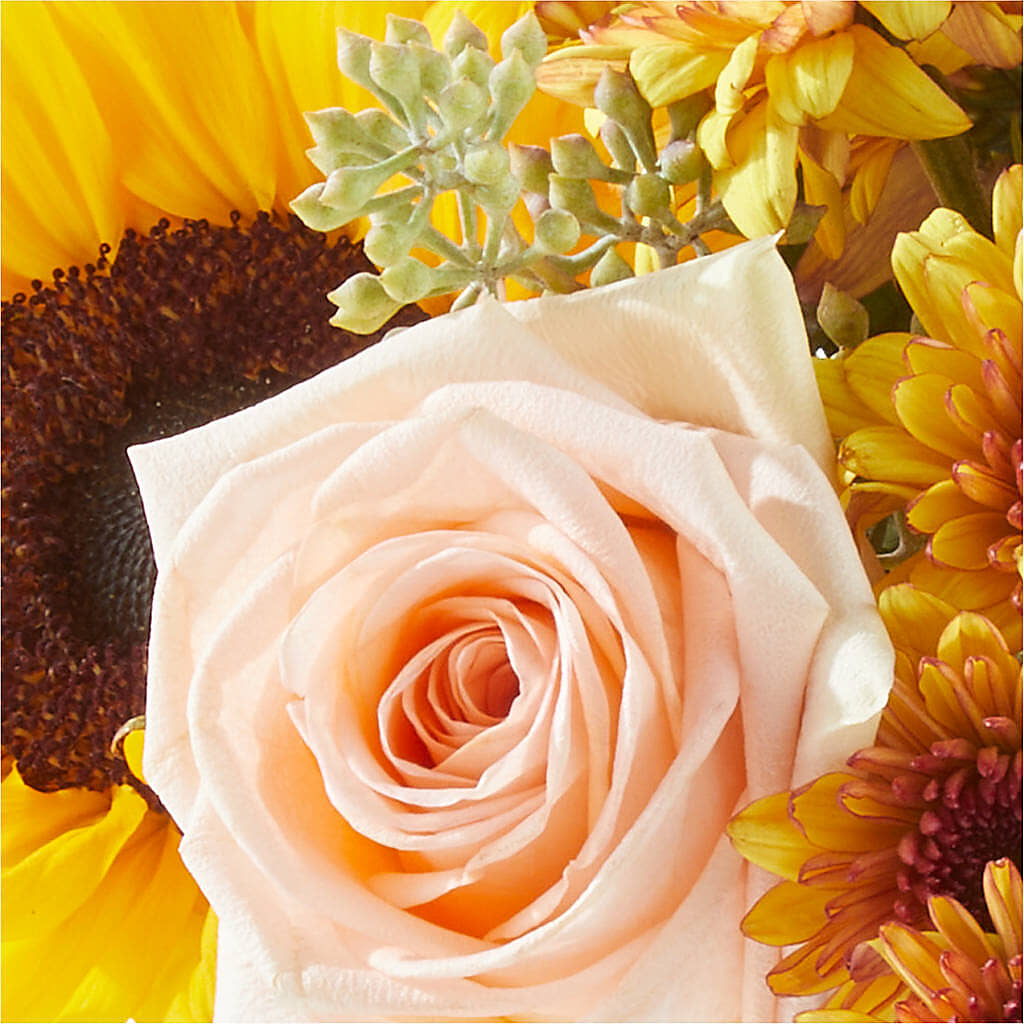 Pumpkin to Talk About Bouquet – ANTOSZYK'S GARDEN CENTER & FLORIST SHOP, Butler PA