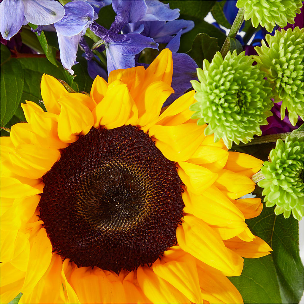 Catching Rays Bouquet – ANTOSZYK'S GARDEN CENTER & FLORIST SHOP, Butler PA