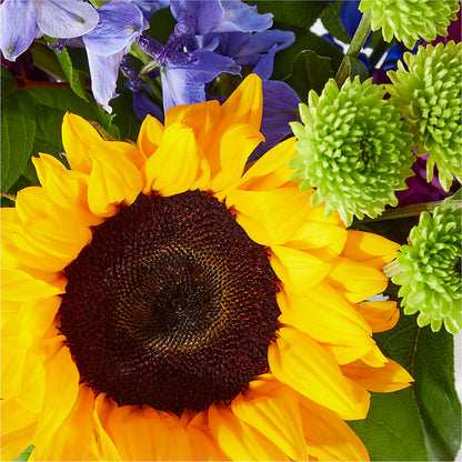 Catching Rays Bouquet – ANTOSZYK'S GARDEN CENTER & FLORIST SHOP, Butler PA