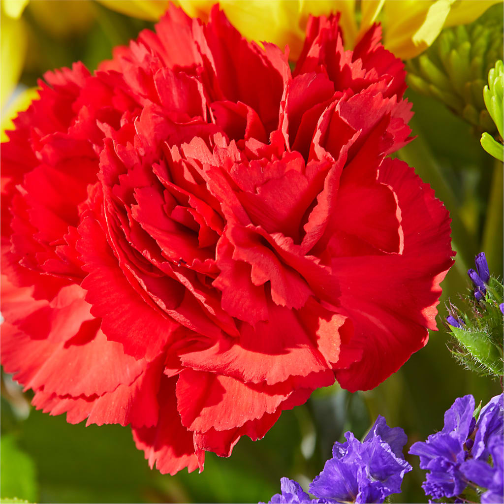 Brighter Days Bouquet – ANTOSZYK'S GARDEN CENTER & FLORIST SHOP, Butler PA