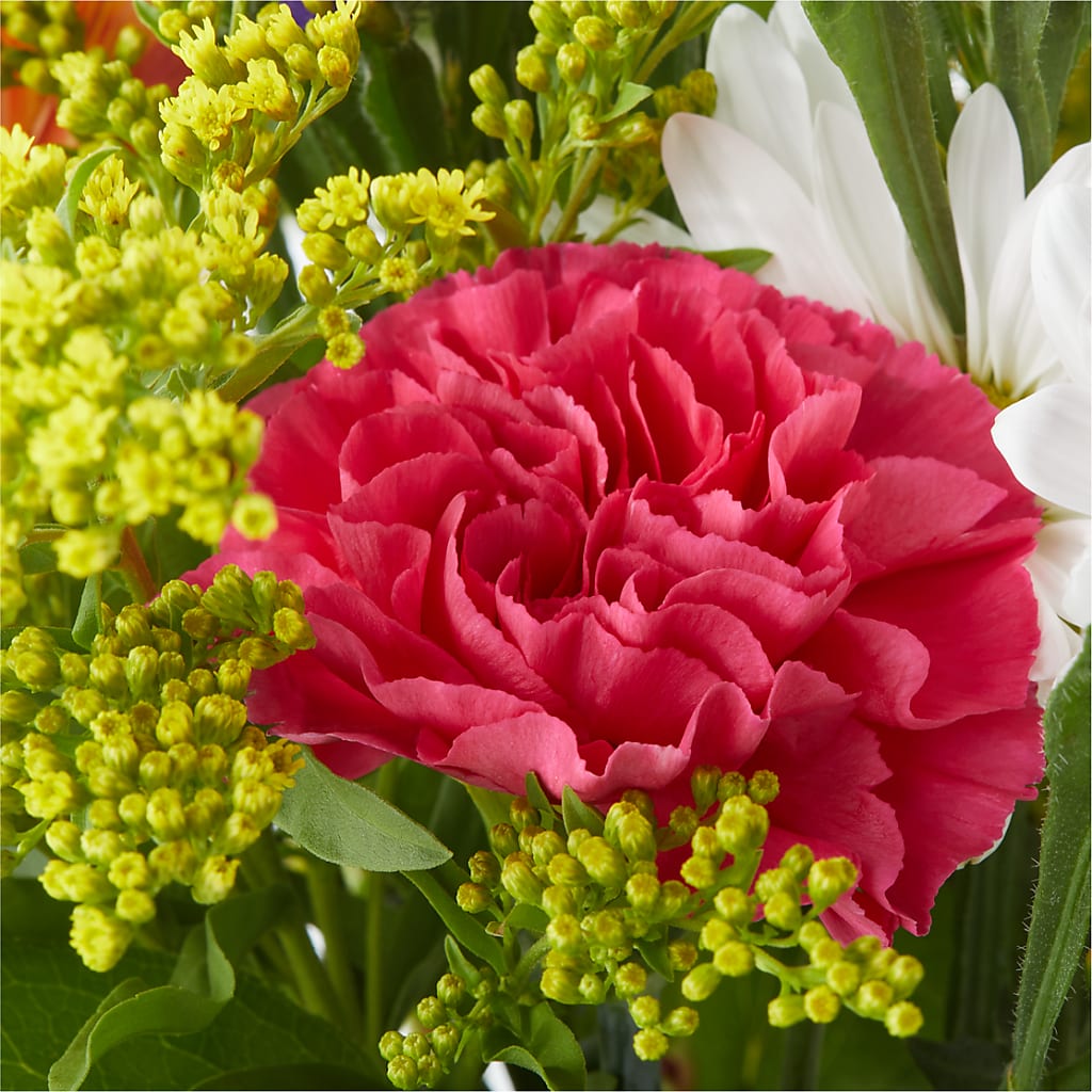 Oopsie Daisy Bouquet – ANTOSZYK'S GARDEN CENTER & FLORIST SHOP, Butler PA