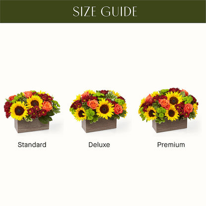 Happy Harvest Garden – ANTOSZYK'S GARDEN CENTER & FLORIST SHOP, Butler PA