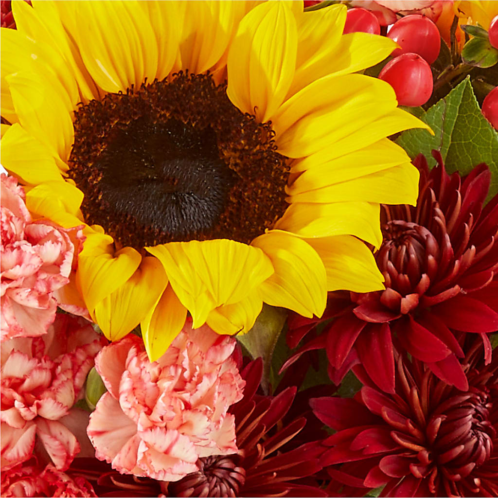 Fresh Cider Bouquet – ANTOSZYK'S GARDEN CENTER & FLORIST SHOP, Butler PA