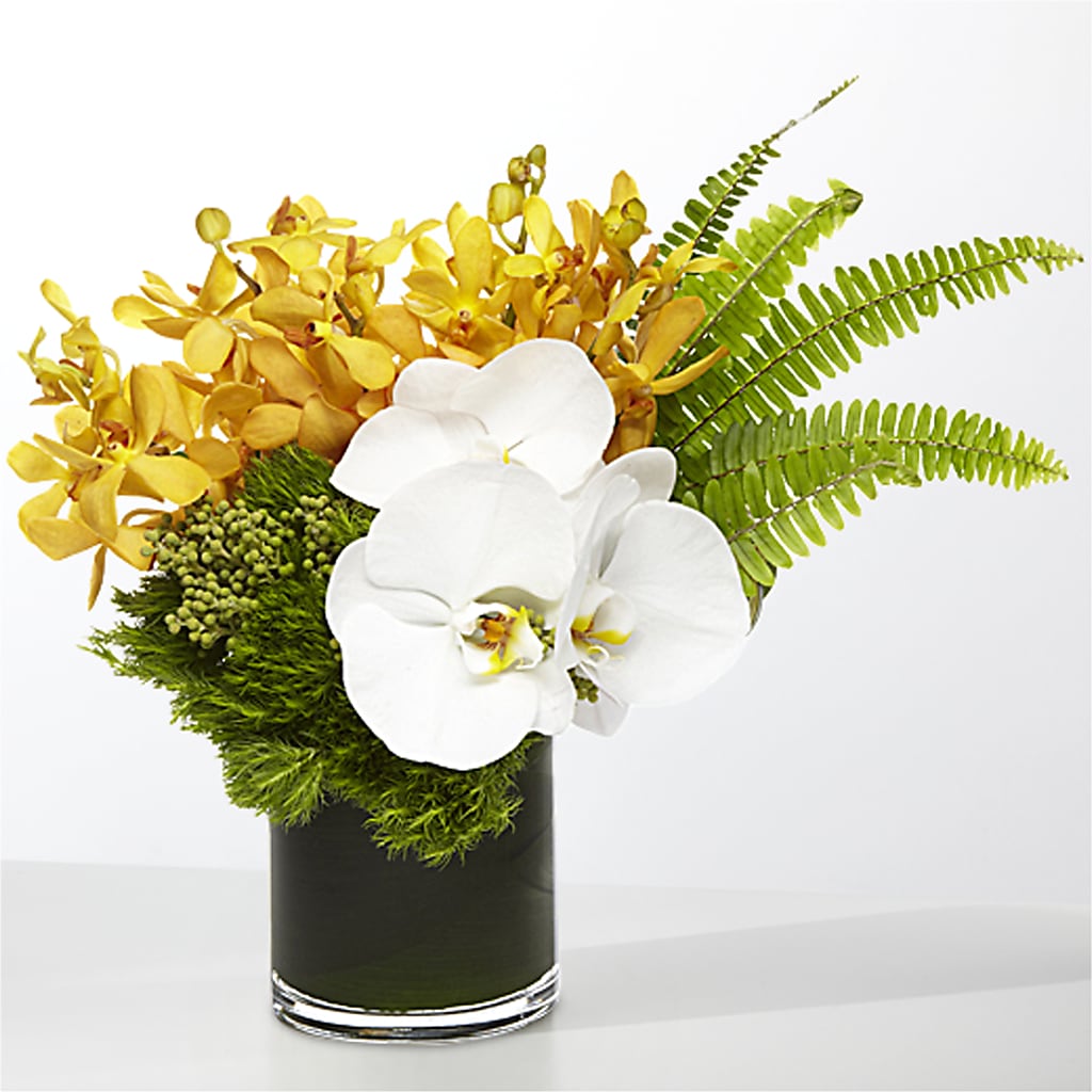 The Tropics – ANTOSZYK'S GARDEN CENTER & FLORIST SHOP, Butler PA
