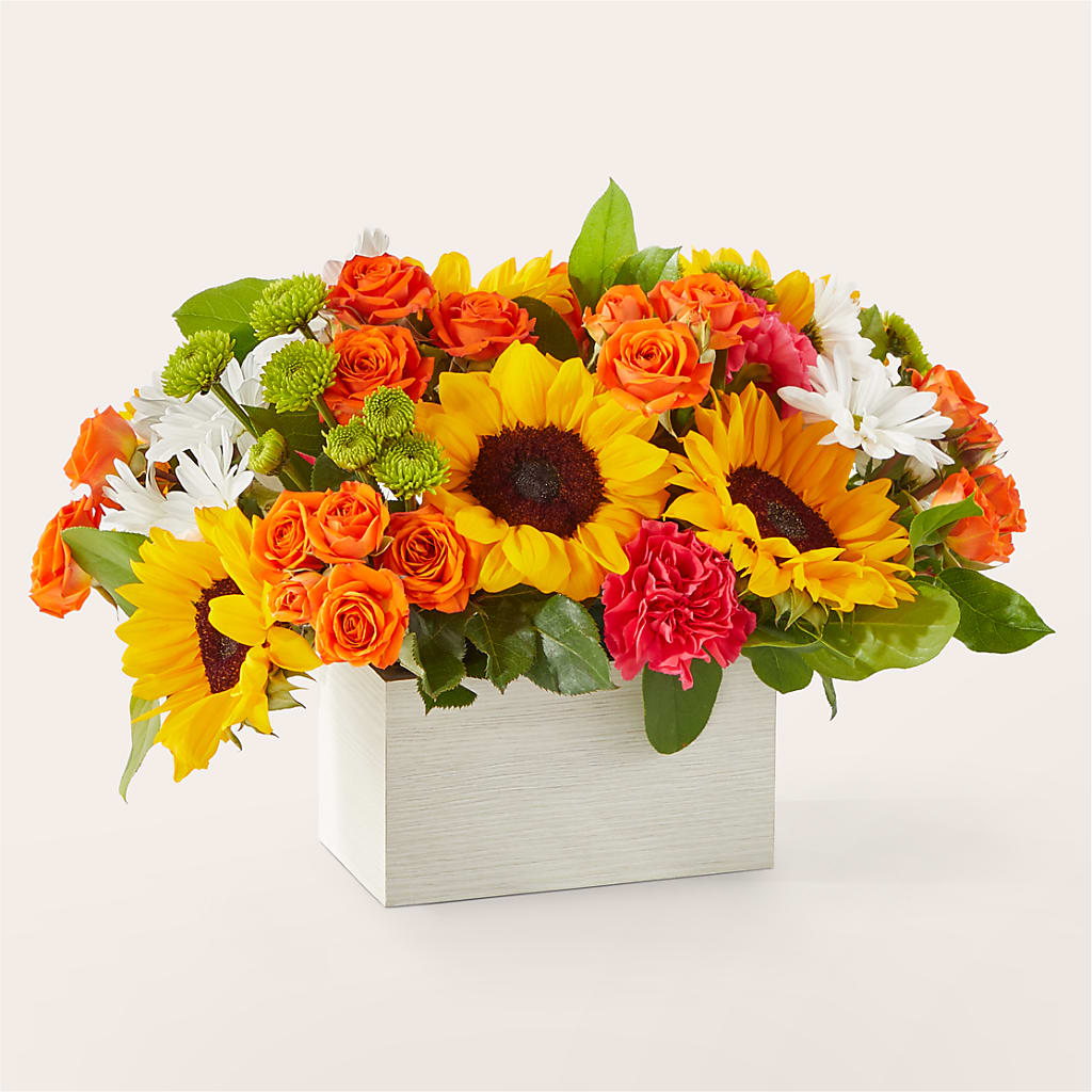Sun-drenched Blooms Box Bouquet – ANTOSZYK'S GARDEN CENTER & FLORIST SHOP, Butler PA