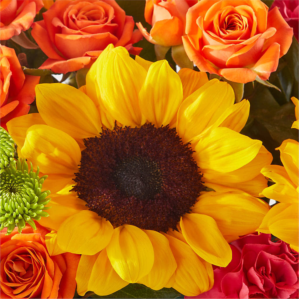 Sun-drenched Blooms Box Bouquet – ANTOSZYK'S GARDEN CENTER & FLORIST SHOP, Butler PA