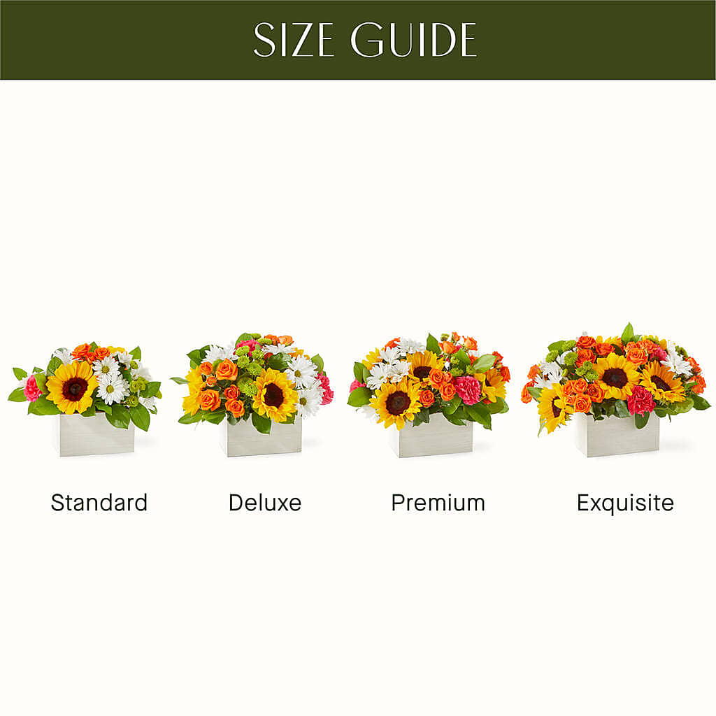 Sun-drenched Blooms Box Bouquet – ANTOSZYK'S GARDEN CENTER & FLORIST SHOP, Butler PA