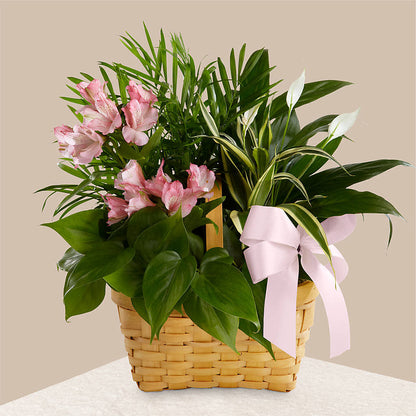 Living Spirit Dishgarden – ANTOSZYK'S GARDEN CENTER & FLORIST SHOP, Butler PA
