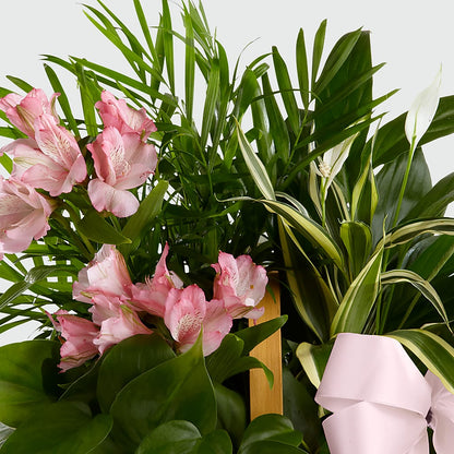 Living Spirit Dishgarden – ANTOSZYK'S GARDEN CENTER & FLORIST SHOP, Butler PA
