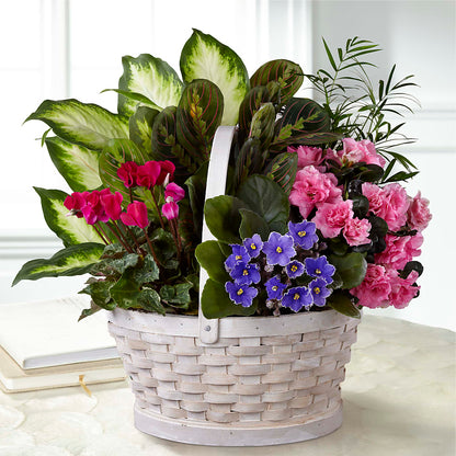 Peaceful Garden Planter – ANTOSZYK'S GARDEN CENTER & FLORIST SHOP, Butler PA