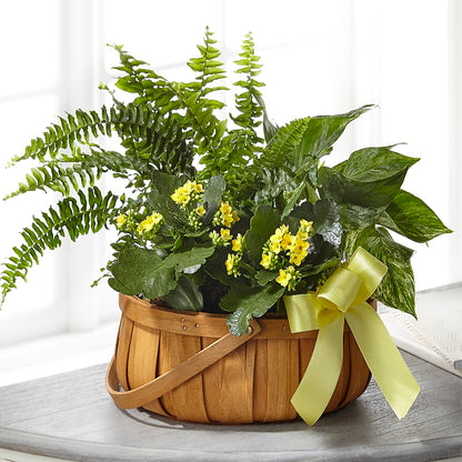 Always Dear Dishgarden – ANTOSZYK'S GARDEN CENTER & FLORIST SHOP, Butler PA