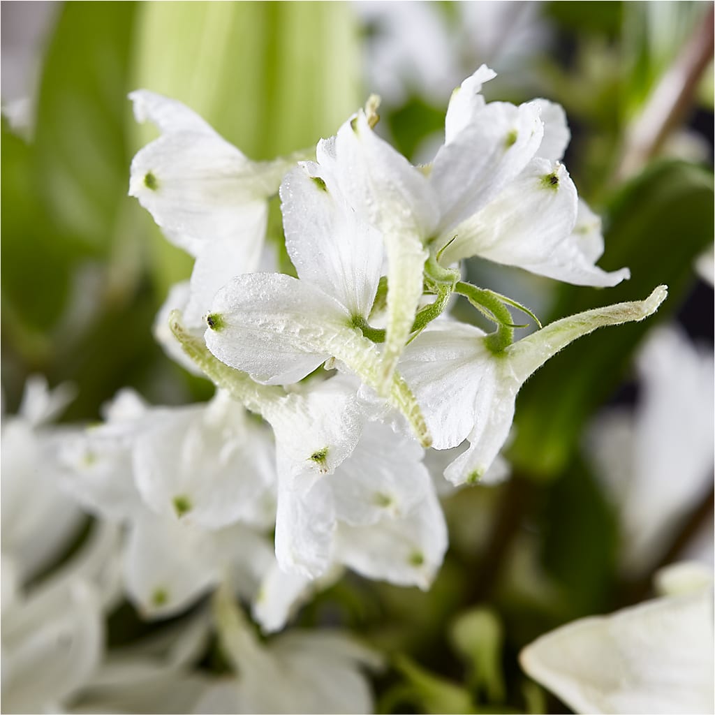 Classic Ivory – A Florist Original – ANTOSZYK'S GARDEN CENTER & FLORIST SHOP, Butler PA