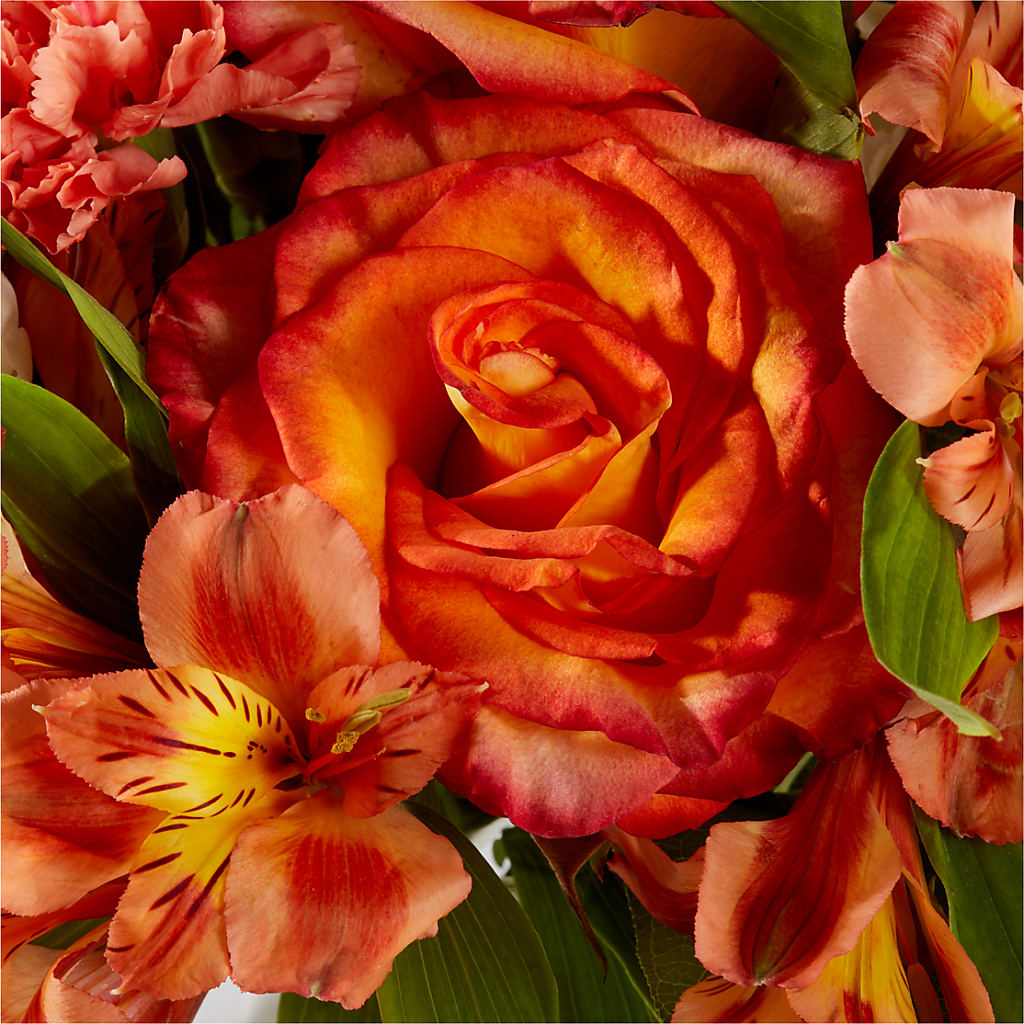 Apricot Glow Bouquet – ANTOSZYK'S GARDEN CENTER & FLORIST SHOP, Butler PA